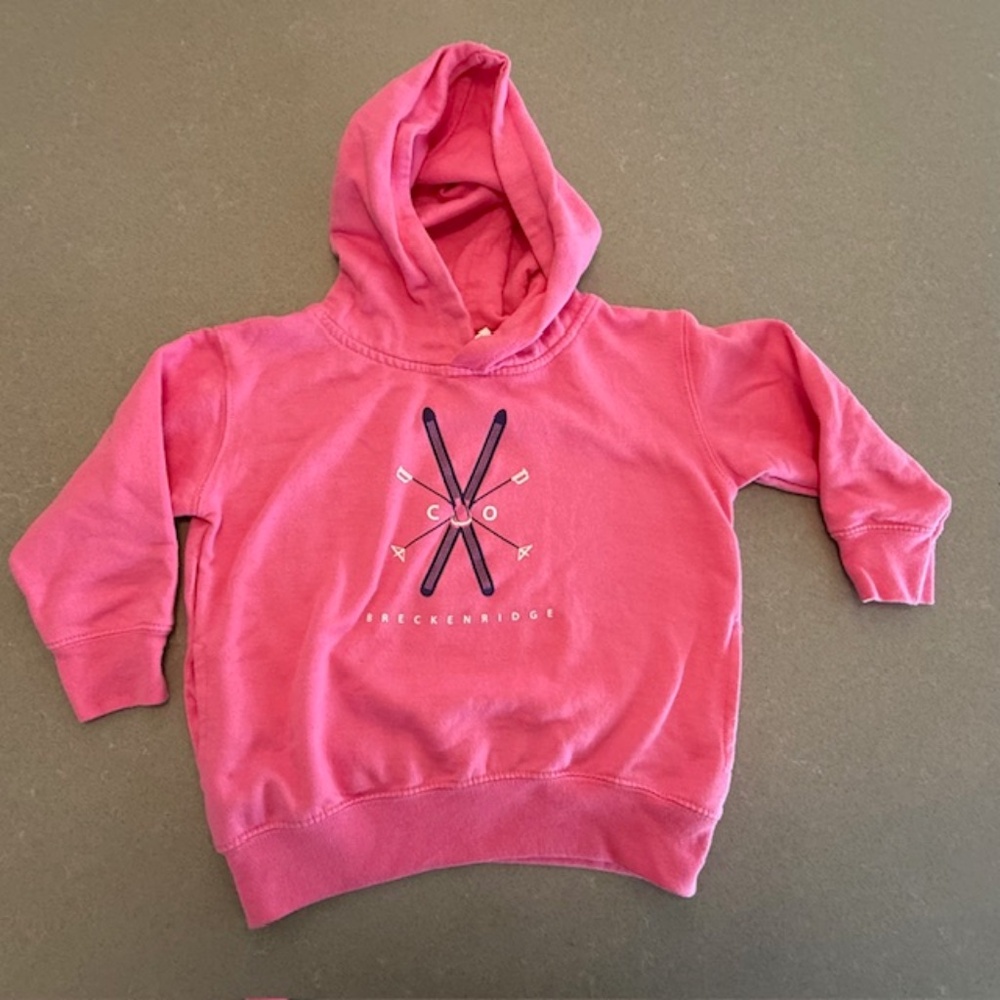 Little Girl Size 4 Breckenridge Hooded Pink Sweatshirt-Washed, Never worn